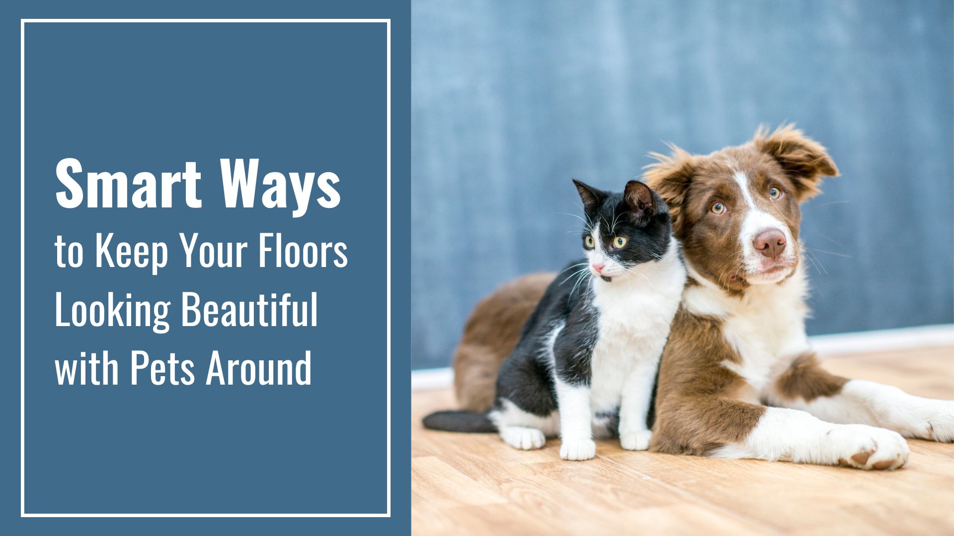 Smart Ways to Keep Your Floors Looking Beautiful with Pets Around