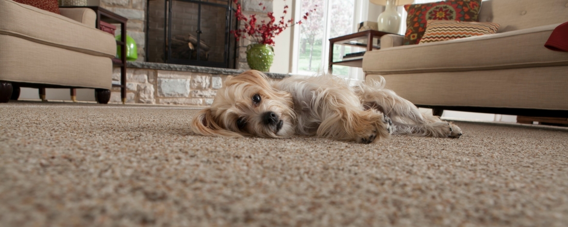 mohawk carpet