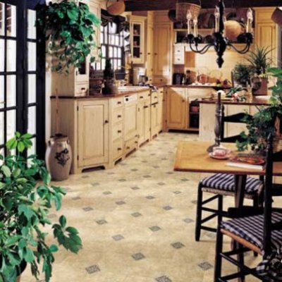 A kitchen, with a bunch of house plants and vinyl flooring.