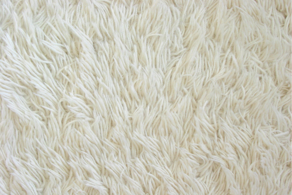 white carpet