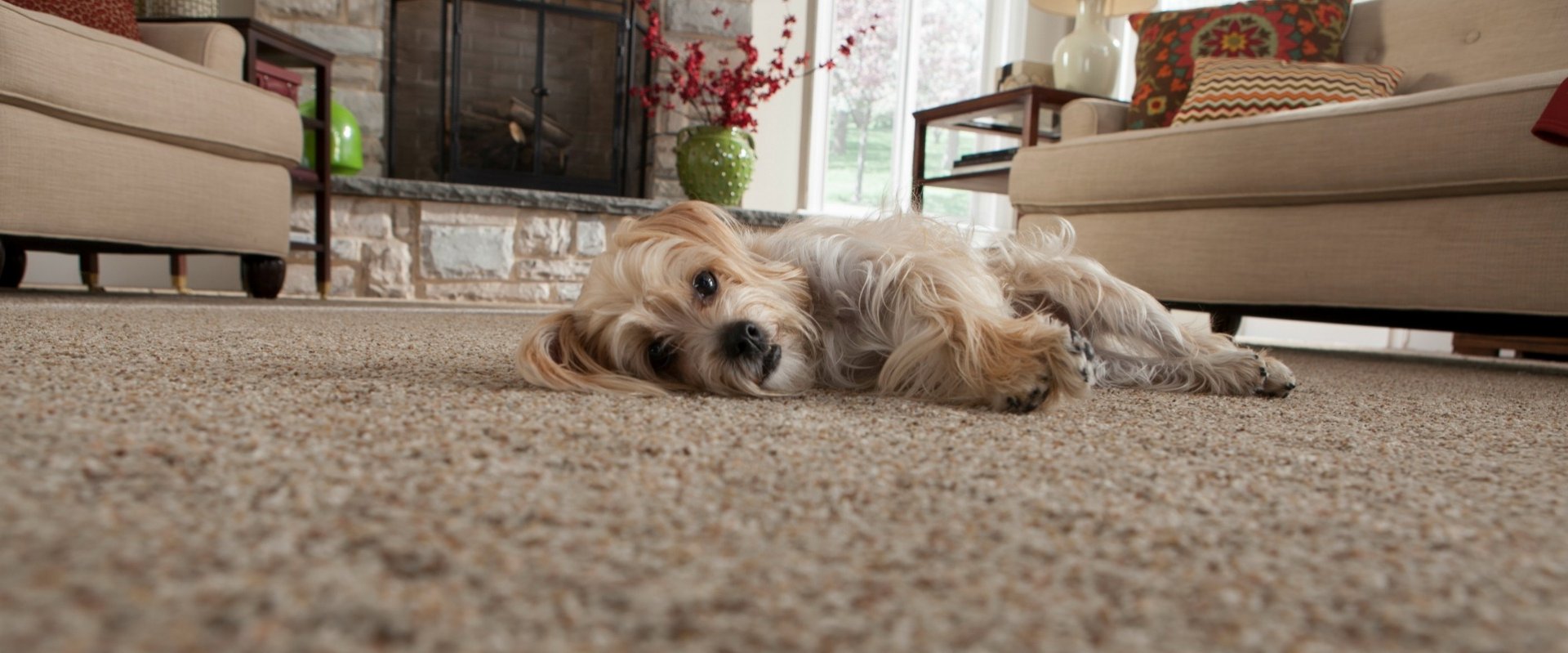Living Room Carpeting